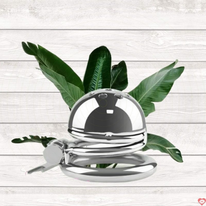 Khóa cu inox lò xo bít đầu