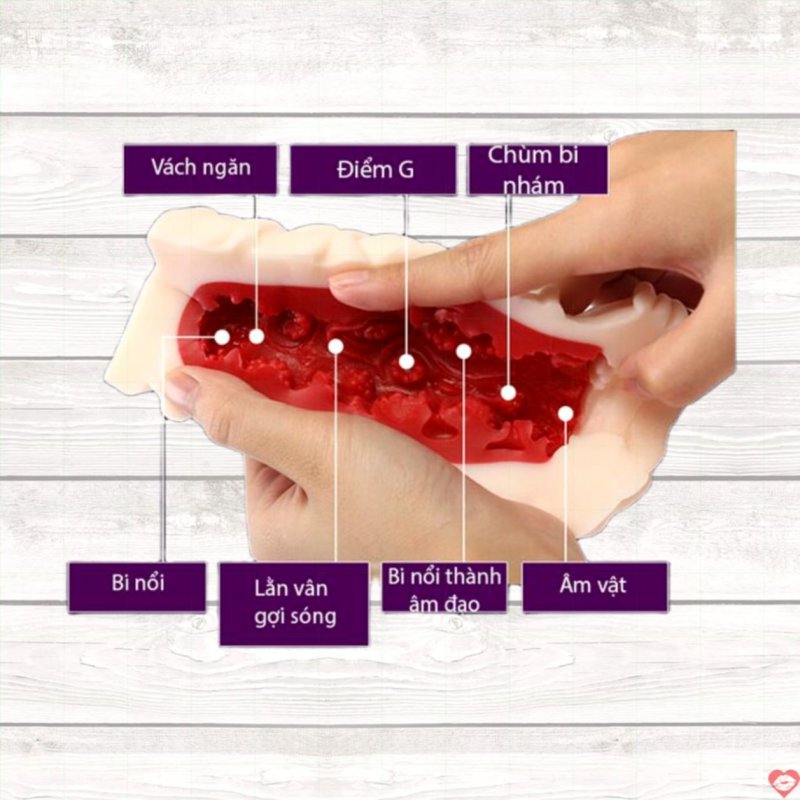 Âm đạo giả Leten 3D đỏ cao cấp Sextoy nam Nhật Bản độc đáo 