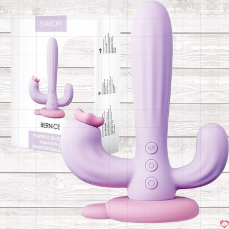 Dương Vật Giả Svakom Bernice 3 Đầu Rung Hút 10 Chế Độ